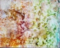 Impressions of an Impression - Alcohol Ink Tile Art - Dragonflys Wings