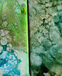 4x4 Bluegrass - Happy Spring - UnFramed Tiles - Dragonflys Wings