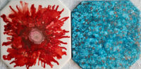 6x6 Crimson Bloom & Teal Patterns - UnFramed Tiles - Dragonflys Wings