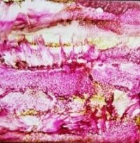 Hot Pink Desert - Alcohol Ink Art Tile - Dragonflys Wings